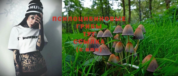 гашик Балахна