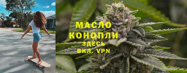 первитин Новозыбков